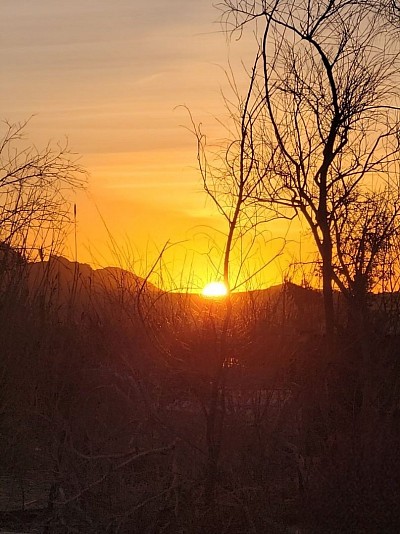 Mohave Desert